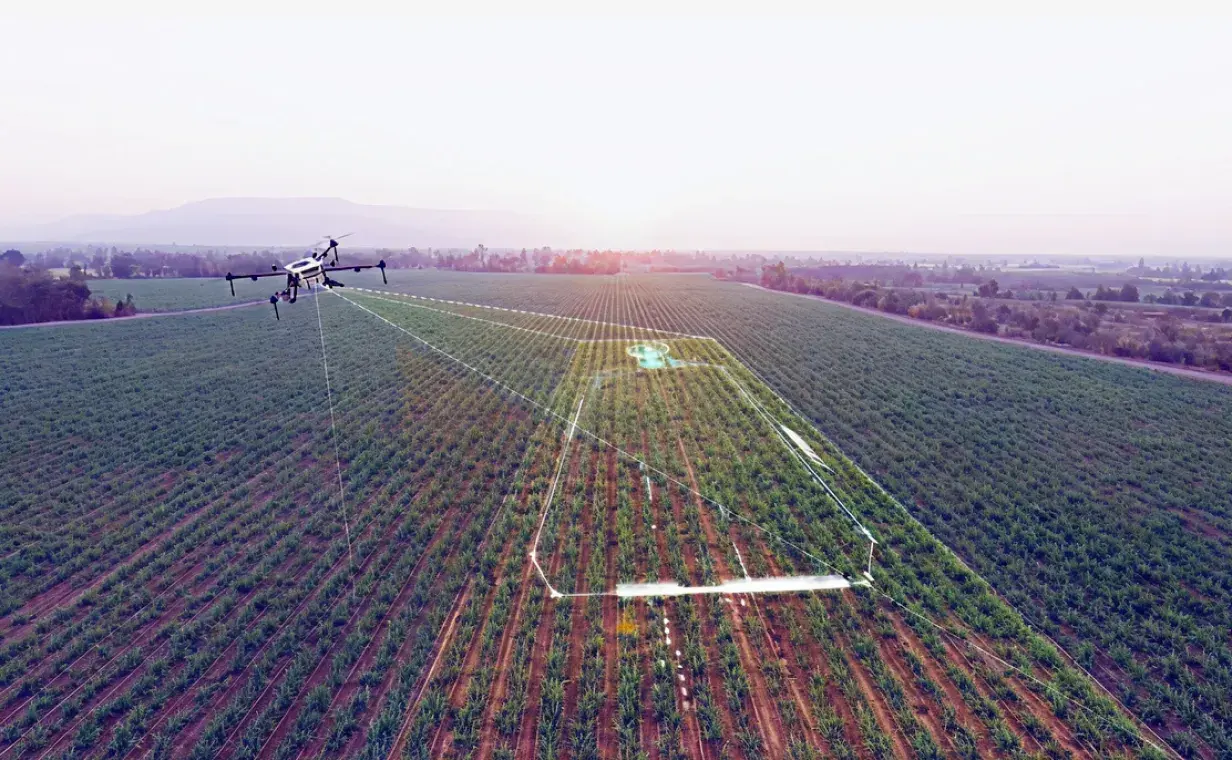 NDVI processing preview