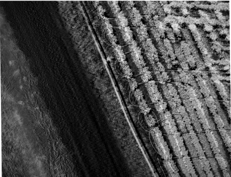 After processing aerial imagery