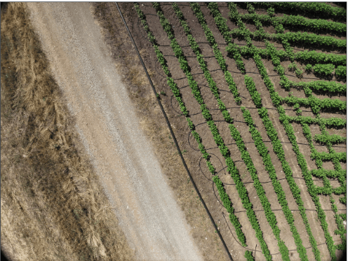 Before processing aerial imagery